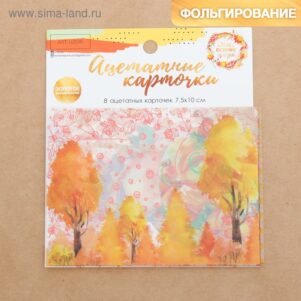 Набор ацетатных карточек для скрапбукинга «Мои осенние грёзы», 10 × 11 см