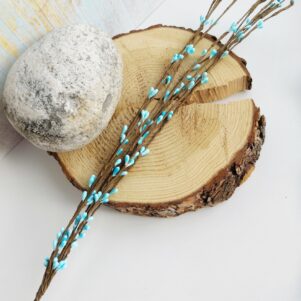 Веточки с почками